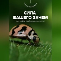 Андрей Миллиардов. Сила вашего Зачем. Как найти своё предназначение