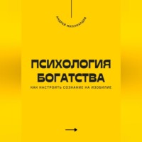 Андрей Миллиардов. Психология богатства. Как настроить сознание на изобилие