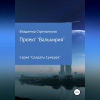 Владимир Стрельников. Проект «Валькирия»