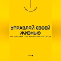 Андрей Миллиардов. Управляй своей жизнью. Как перестать быть жертвой обстоятельств