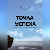 Андрей Миллиардов. Точка успеха. Как находить правильные решения в сложных ситуациях