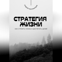 Андрей Миллиардов. Стратегия жизни. Как строить планы и достигать целей