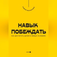 Андрей Миллиардов. Навык побеждать. Как достигать целей в любых условиях