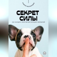 Андрей Миллиардов. Секрет силы. Как находить энергию для больших свершений