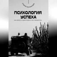 Андрей Миллиардов. Психология успеха. Как думать и действовать как победитель