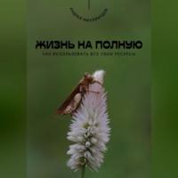 Андрей Миллиардов. Жизнь на полную. Как использовать все свои ресурсы