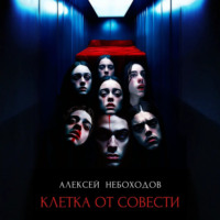 Алексей Небоходов. Клетка от совести