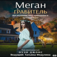 Оуэн Джонс. Меган и грабитель