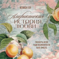 Илион Ву. Американская история любви. Рискнуть всем ради возможности быть вместе