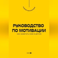 Андрей Миллиардов. Руководство по мотивации. Как зажигать себя и других