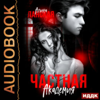 . Частная Академия. Книга 2. Осколки
