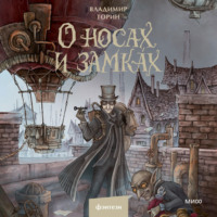 Владимир Торин. О носах и замка́х