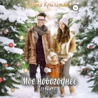 . Мое новогоднее чудо