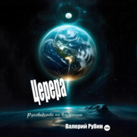 Валерий Рубин. Церера. Руководство по внедрению