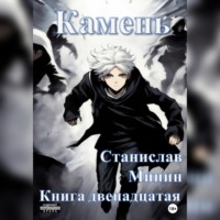 Станислав Николаевич Минин. Камень. Книга двенадцатая