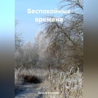 . Беспокойные времена