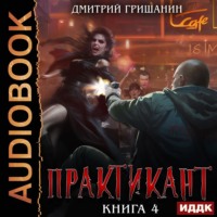 Дмитрий Гришанин. Практикант. Книга 4