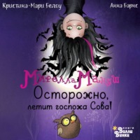 Анна Барнс. Мирелла Мануш. Осторожно, летит госпожа Сова!