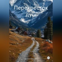 Настасия Воронова. Перекресток душ
