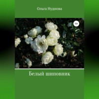 Ольга Нуднова. Белый шиповник