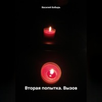 . ВТОРАЯ ПОПЫТКА. ВЫЗОВ