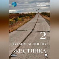 . Жестянка-2