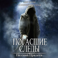 Евгений Прядеев. Погасшие следы