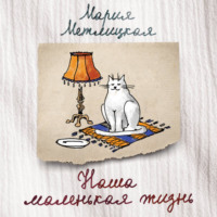 Мария Метлицкая. Наша маленькая жизнь (сборник)