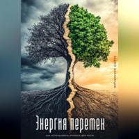 Андрей Миллиардов. Энергия перемен. Как использовать кризисы для роста