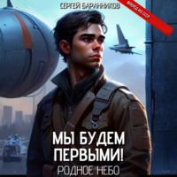 Сергей Баранников. Мы будем первыми! Родное небо