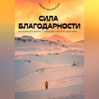 Андрей Миллиардов. Сила благодарности. Как изменить жизнь с помощью простого действия