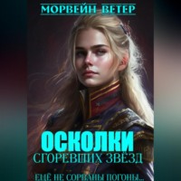 . Осколки сгоревших звёзд. Книга 2. Ещё не сорваны погоны…