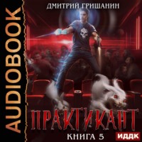 Дмитрий Гришанин. Практикант. Книга 5