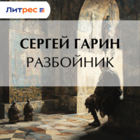 Сергей Гарин. Разбойник