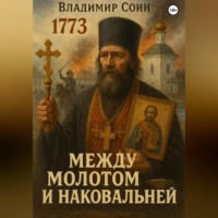Владимир Соин. Между Молотом и Наковальней