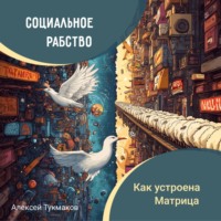 Алексей Васильевич Тукмаков. Социальное рабство: Как устроена Матрица