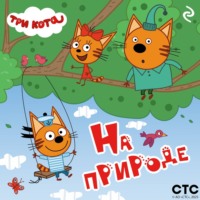 . Три кота. На природе