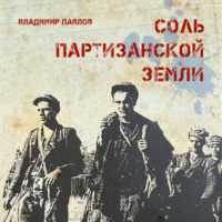 Владимир Павлов. Соль партизанской земли
