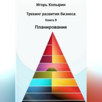 Игорь Копырин. Книга 9 Планирование