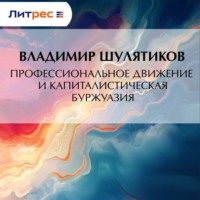 Владимир Михайлович Шулятиков. Профессиональное движение и капиталистическая буржуазия