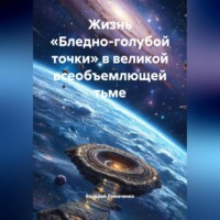 Валерий Ермаченко. Жизнь «Бледно-голубой точки» в великой всеобъемлющей тьме