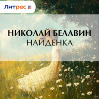 Николай Белавин. Найденка