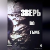 Гатауллин Дмитрий. Зверь во тьме