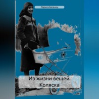 Лариса Басанец. Из жизни вещей. Коляска