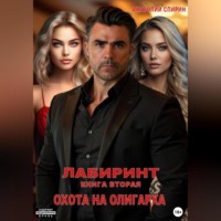 Анатолий Спирин. Лабиринт. Книга вторая. Охота на олигарха