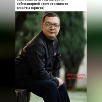 . Как защитить бухгалтера от субсидиарной ответственности (советы юриста)