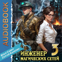 Сергей Карелин. Инженер магических сетей 3