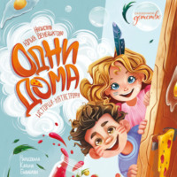 Юлия Венедиктова. Одни дома. История-катастрофа