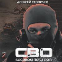 Алексей Александрович Стопичев. СВО. Босиком по стеклу