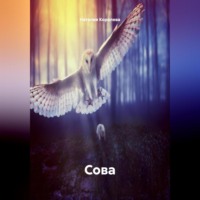 Наталия Королева. Сова.